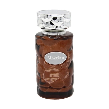 عطر مردانه مارتین ورسای 100 میلی